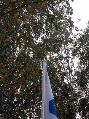 Навершие флага