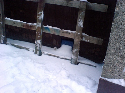 Живет себе на производстве